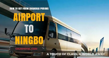 Shanghai Pudong to Ningbo: Fastest Transport Options & Travel Tips
