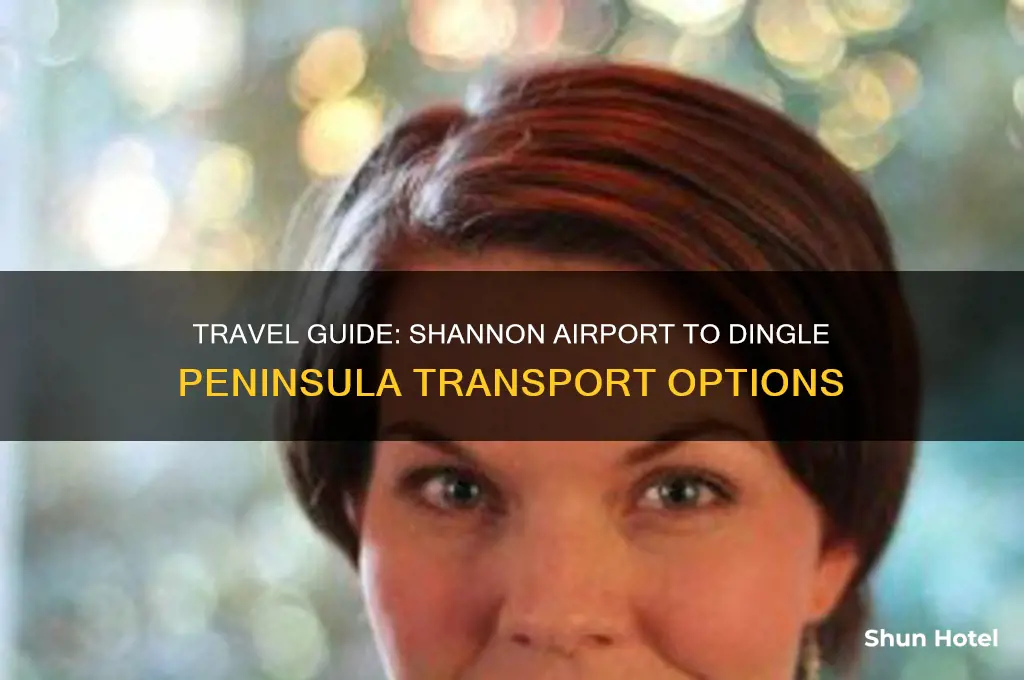 how to get from shannon airport to dingle