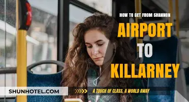 Travel Guide: Shannon Airport to Killarney Transport Options & Tips