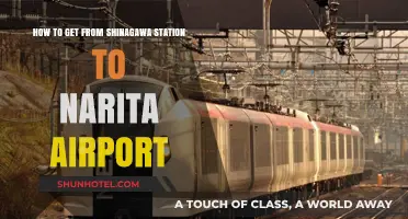 Efficient Travel Guide: Shinagawa Station to Narita Airport Route