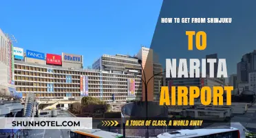 Efficient Travel Guide: Shinjuku to Narita Airport Transport Options