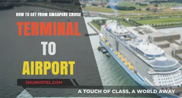 Singapore Cruise Terminal to Airport: Quick, Easy Transport Guide