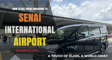 Travel Guide: Singapore to Senai International Airport Transport Options