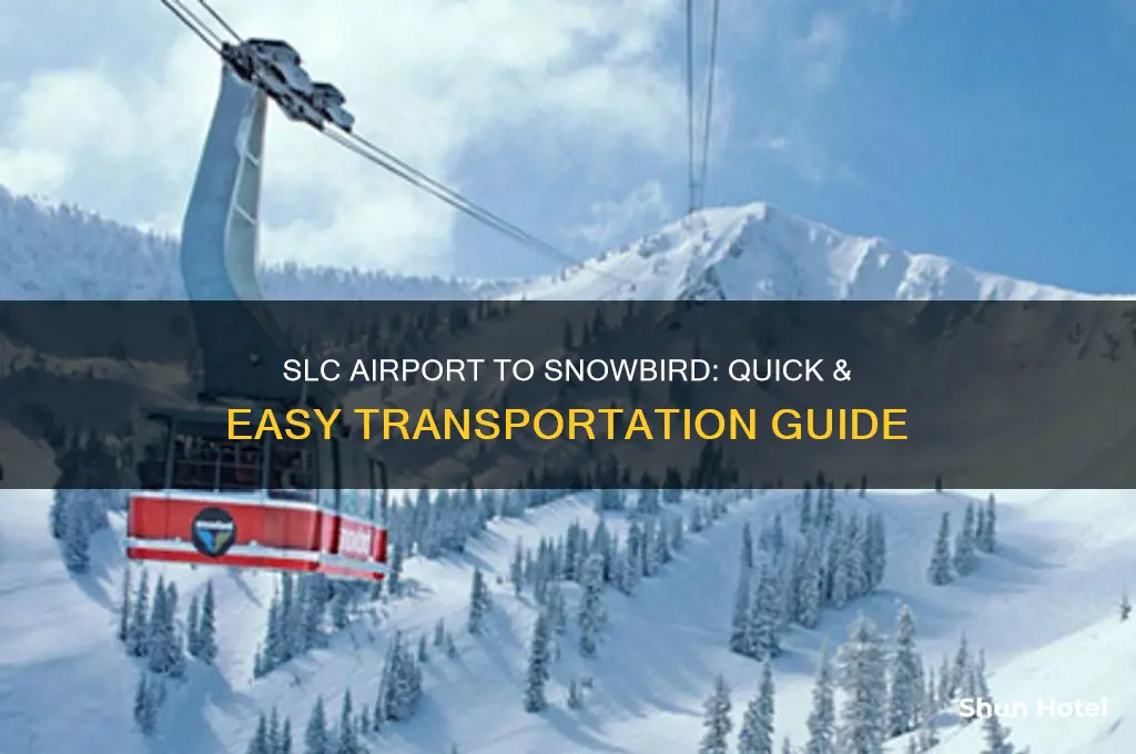 how to get from slc airport to snowbird