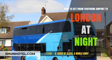 Late-Night Travel Guide: Southend Airport to London Hassle-Free