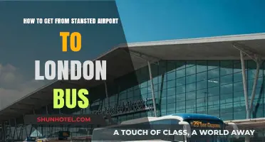 Stansted to London by Bus: Affordable and Easy Travel Guide