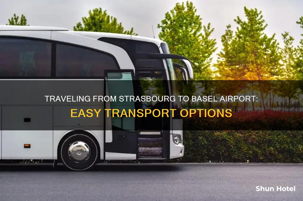 how to get from strasbourg to basel airport