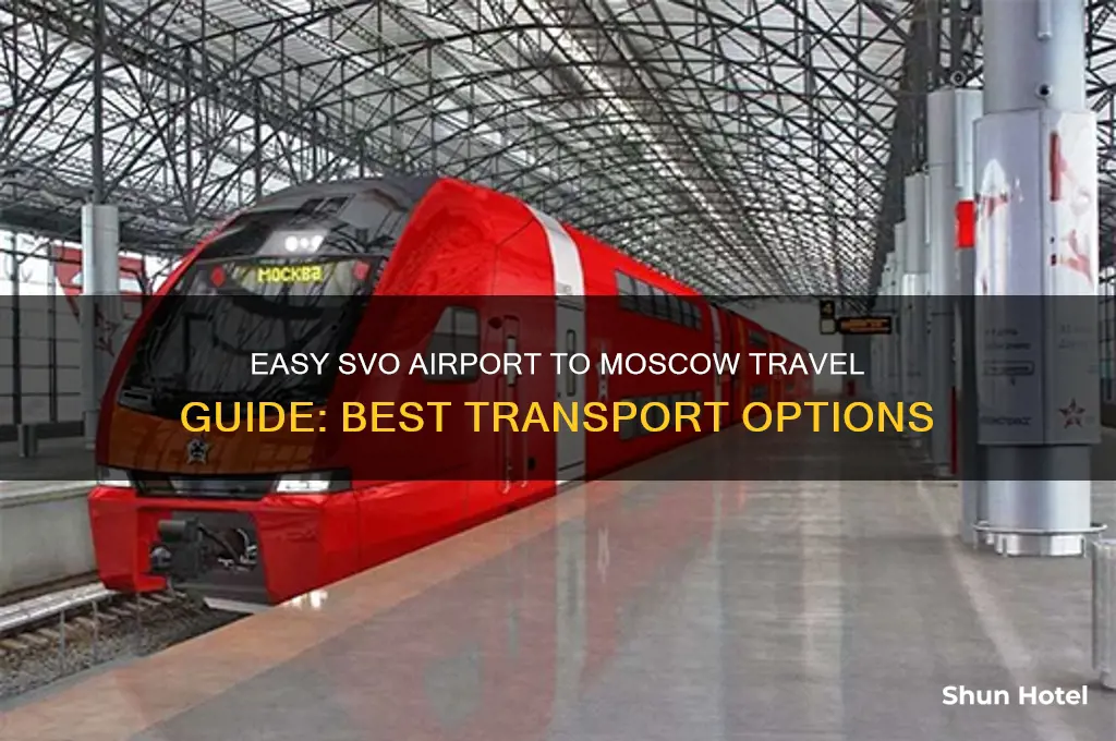 how to get from svo airport to moscow