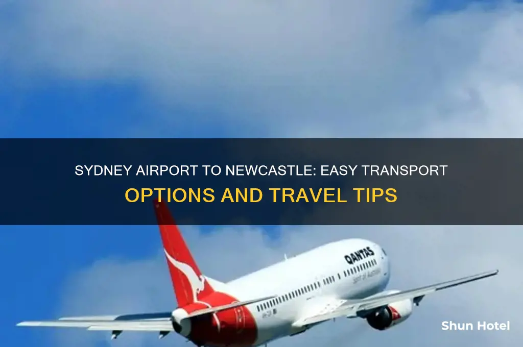 how to get from sydney airport to newcastle