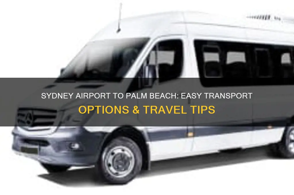 how to get from sydney airport to palm beach