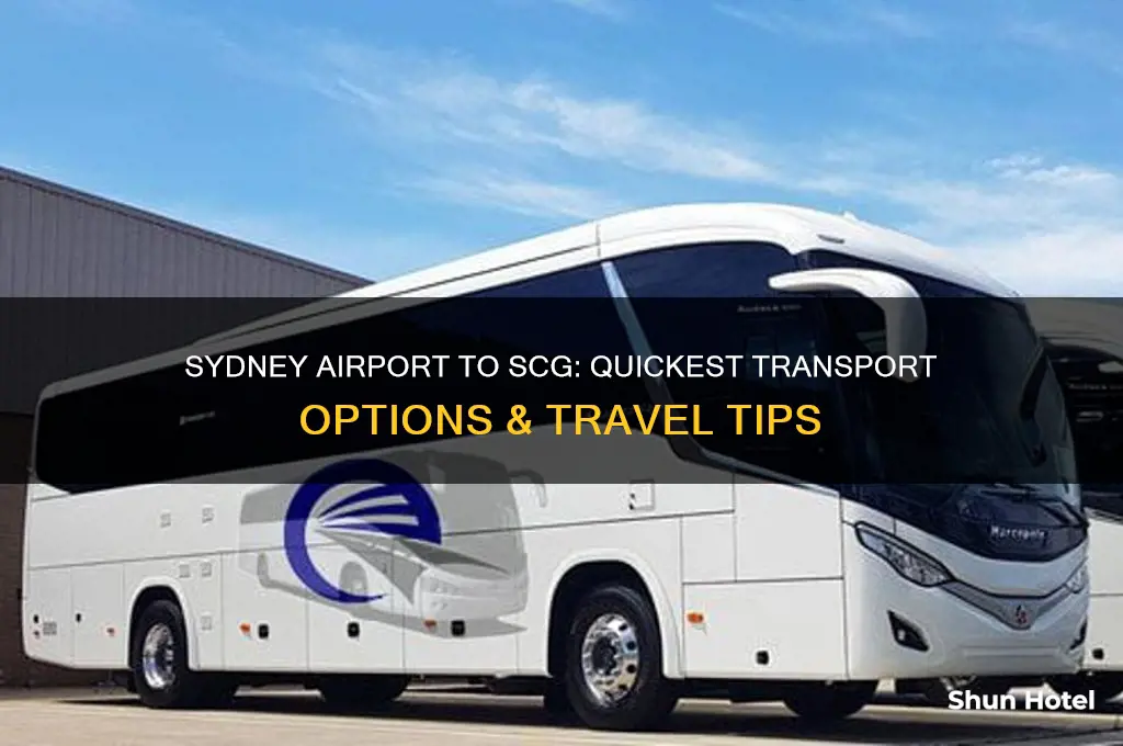 how to get from sydney airport to sydney cricket ground