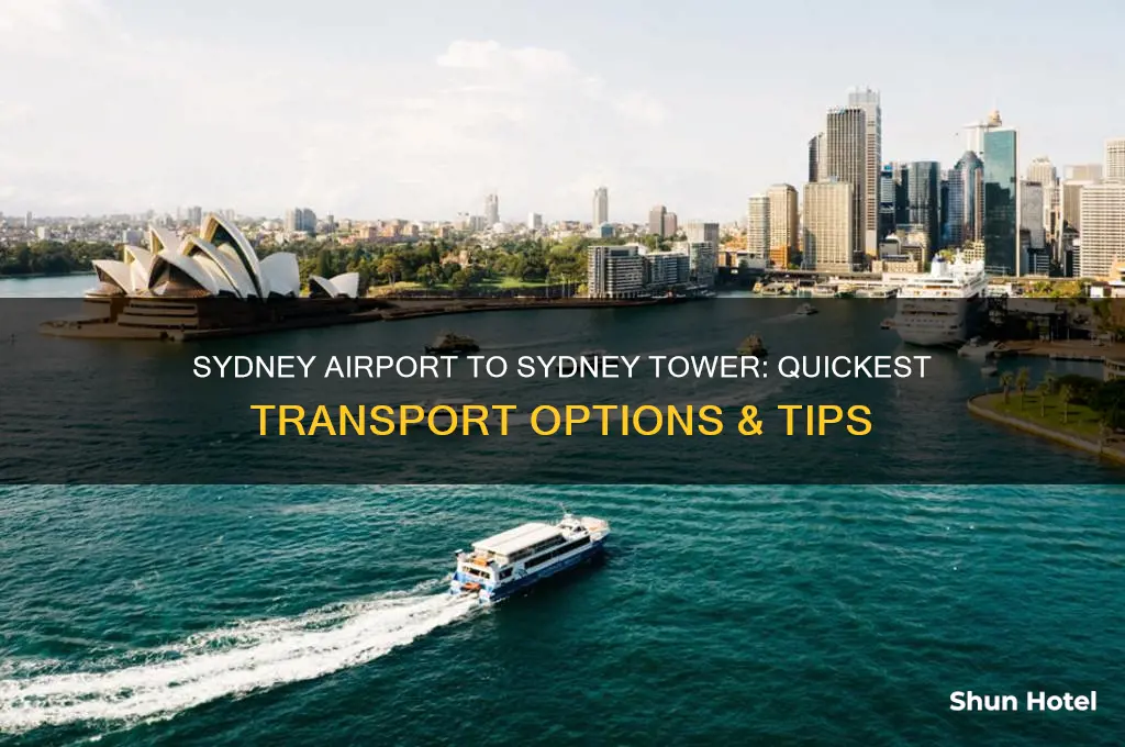 how to get from sydney airport to sydney tower
