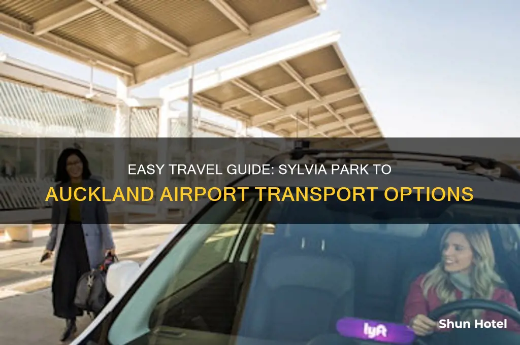 how to get from sylvia park to airport