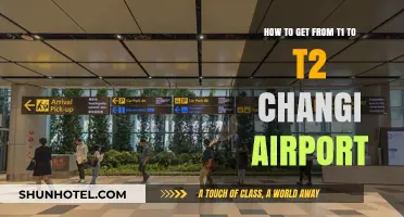 Navigating Changi Airport: Easy Transfer Tips from T1 to T2