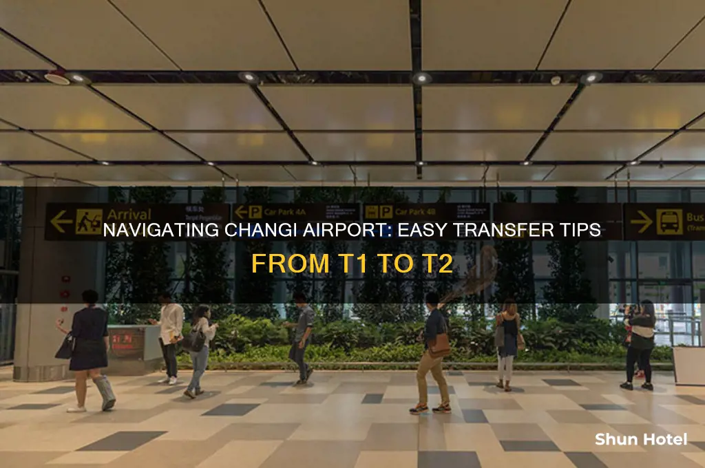 how to get from t1 to t2 changi airport