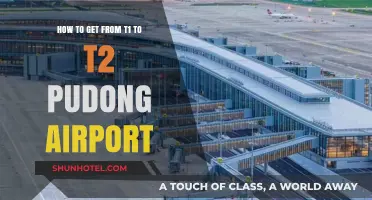 Navigating Pudong Airport: Seamless Transfer from T1 to T2 Guide