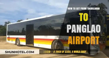 Travel Guide: Tagbilaran to Panglao Airport Transportation Options