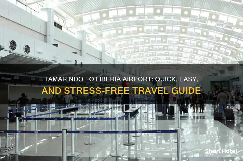 how to get from tamarindo to liberia airport