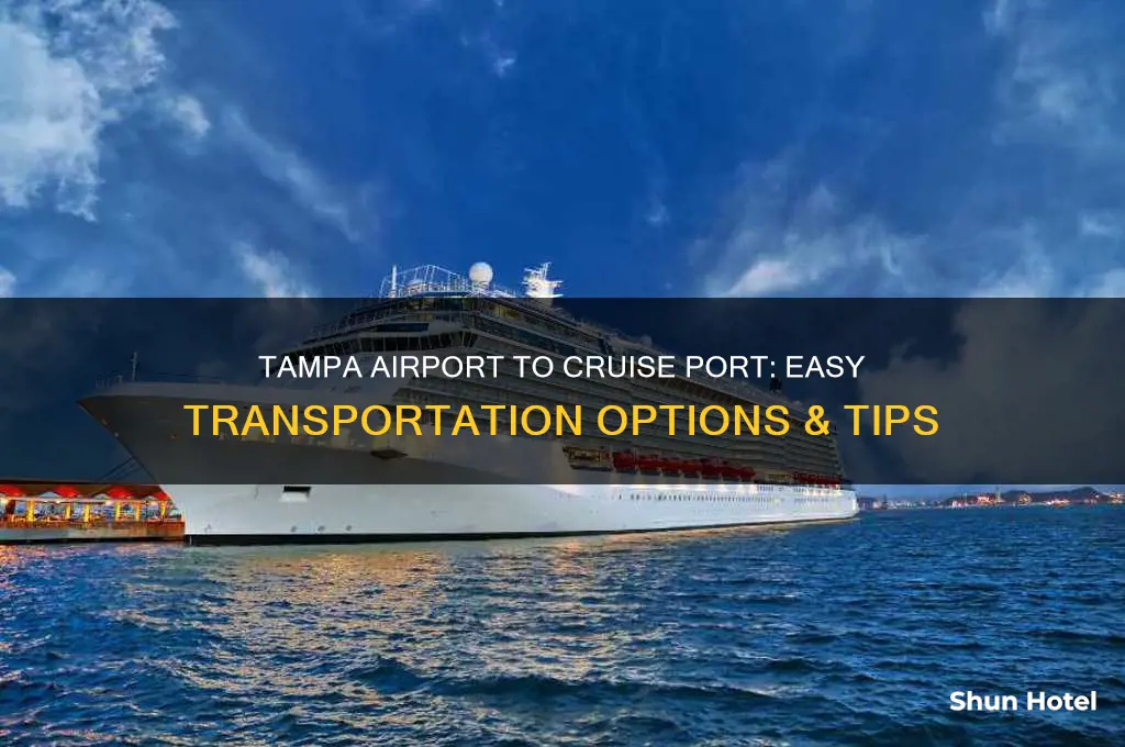 how to get from tampa airport to cruise port