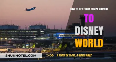 Tampa Airport to Disney World: Easy Transportation Options & Tips