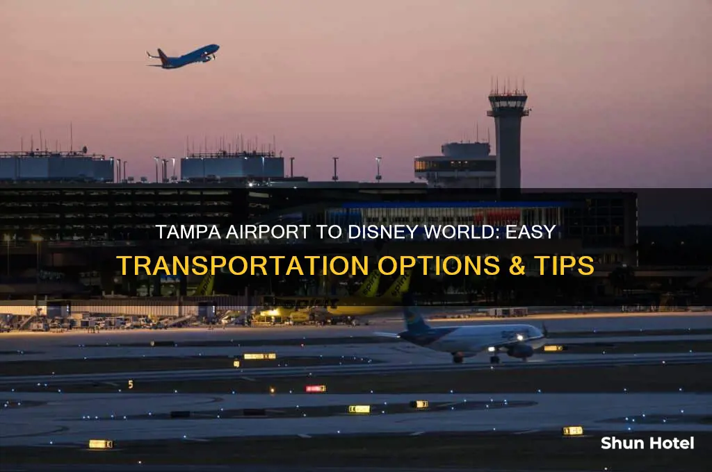 how to get from tampa airport to disney world