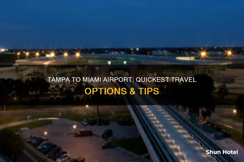 how to get from tampa airport to miami airport