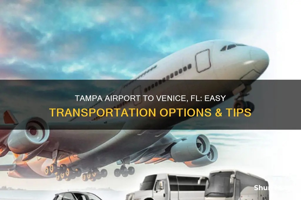 how to get from tampa international airport to venice fl