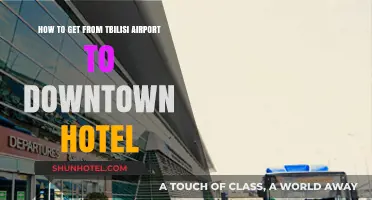 Tbilisi Airport to Downtown Hotel: Easy Transportation Options & Tips