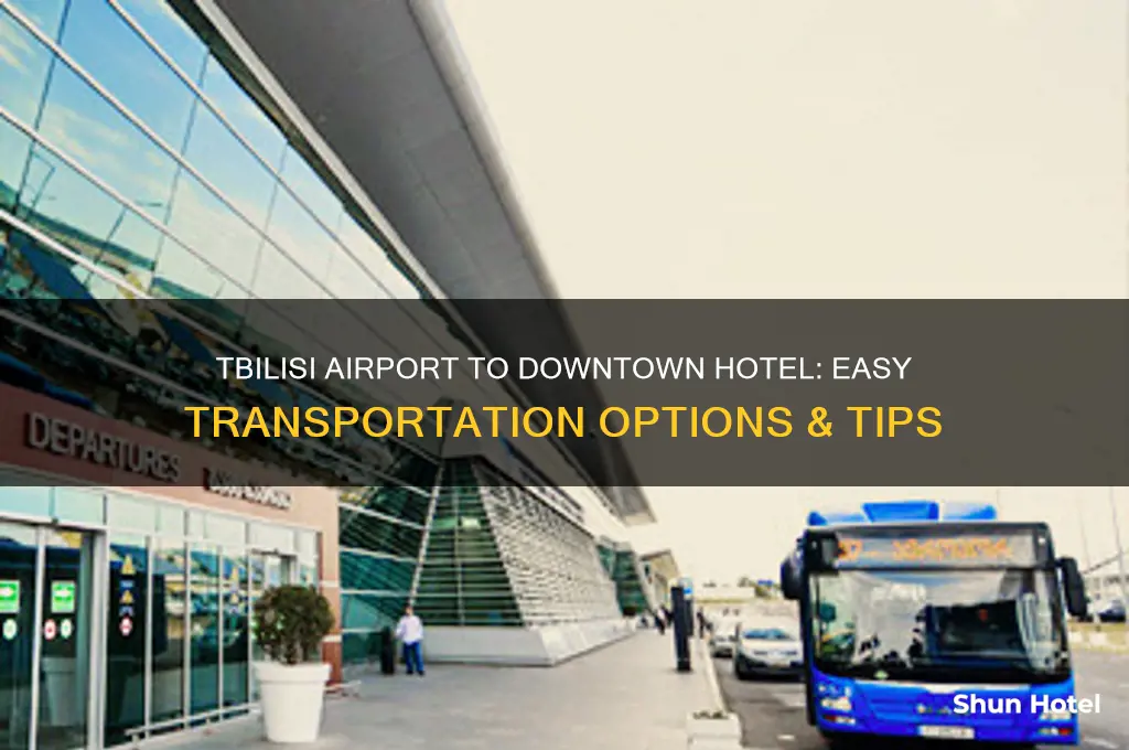 how to get from tbilisi airport to downtown hotel