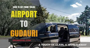 Tbilisi Airport to Gudauri: Easy Transport Options & Travel Tips