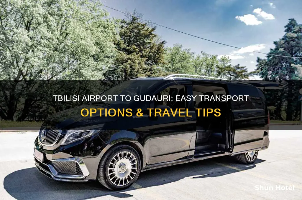 how to get from tbilisi airport to gudauri