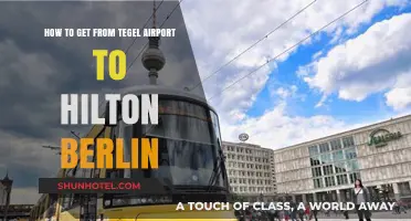 Travel Guide: Tegel Airport to Hilton Berlin - Easy Transport Tips