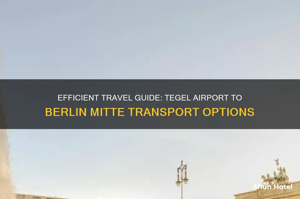how to get from tegel airport to mitte