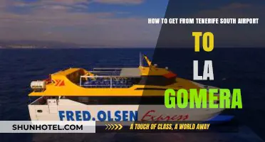 Travel Guide: Tenerife South Airport to La Gomera Made Easy