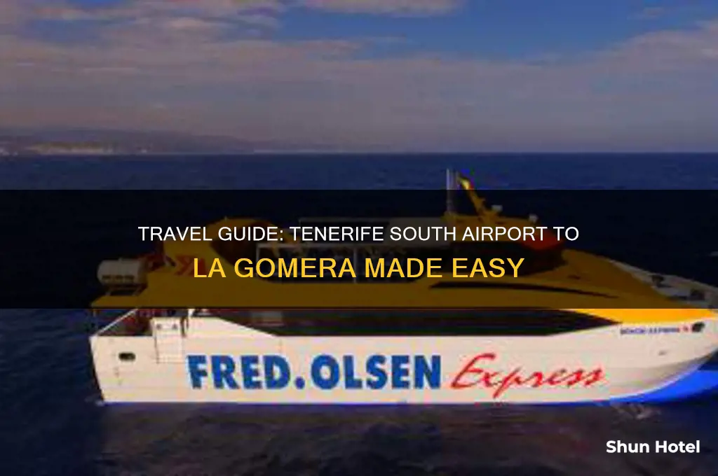 how to get from tenerife south airport to la gomera