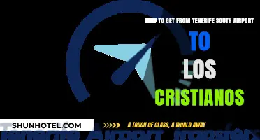 Travel Guide: Tenerife South Airport to Los Cristianos Transport Options