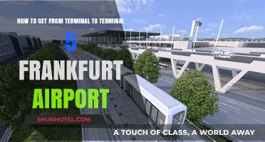 Navigating Frankfurt Airport: Quick Guide to Terminal 5 Transfers