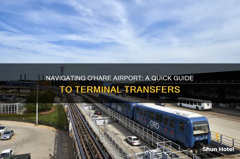 how to get from terminal to terminal in o
