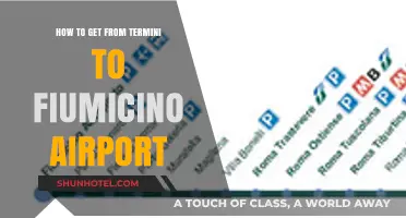 Easiest Ways to Travel from Termini Station to Fiumicino Airport