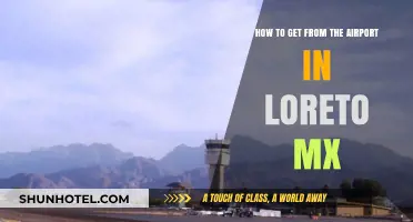 Easy Airport Transfers: Navigating Loreto, Mexico's Transportation Options