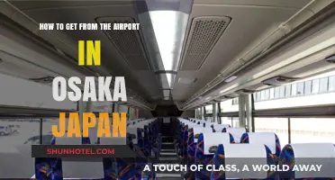 Efficient Travel Tips: Navigating from Osaka Airport to the City