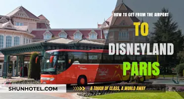 Easy Airport Transfers to Disneyland Paris: Your Ultimate Travel Guide