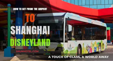 Easiest Ways to Travel from Shanghai Airport to Disneyland