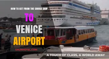 Seamless Travel: Cruise to Venice Airport Transfer Guide