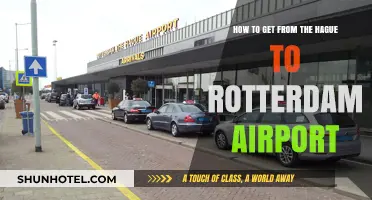 Traveling from The Hague to Rotterdam Airport: Easy Transport Options