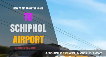 Easiest Ways to Travel from The Hague to Schiphol Airport