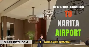 Palace Hotel to Narita Airport: Efficient Travel Guide & Tips