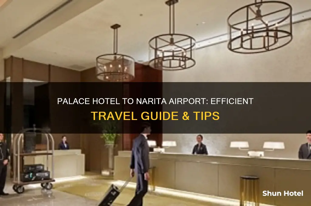 how to get from the palace hotel to narita airport
