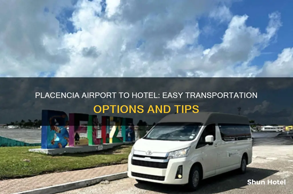 how to get from the placencia airport to the hotl