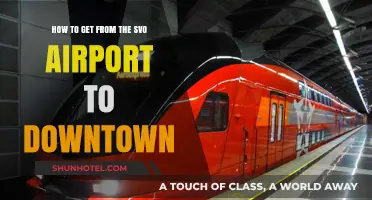 Easy SVO Airport to Downtown Moscow Transportation Guide